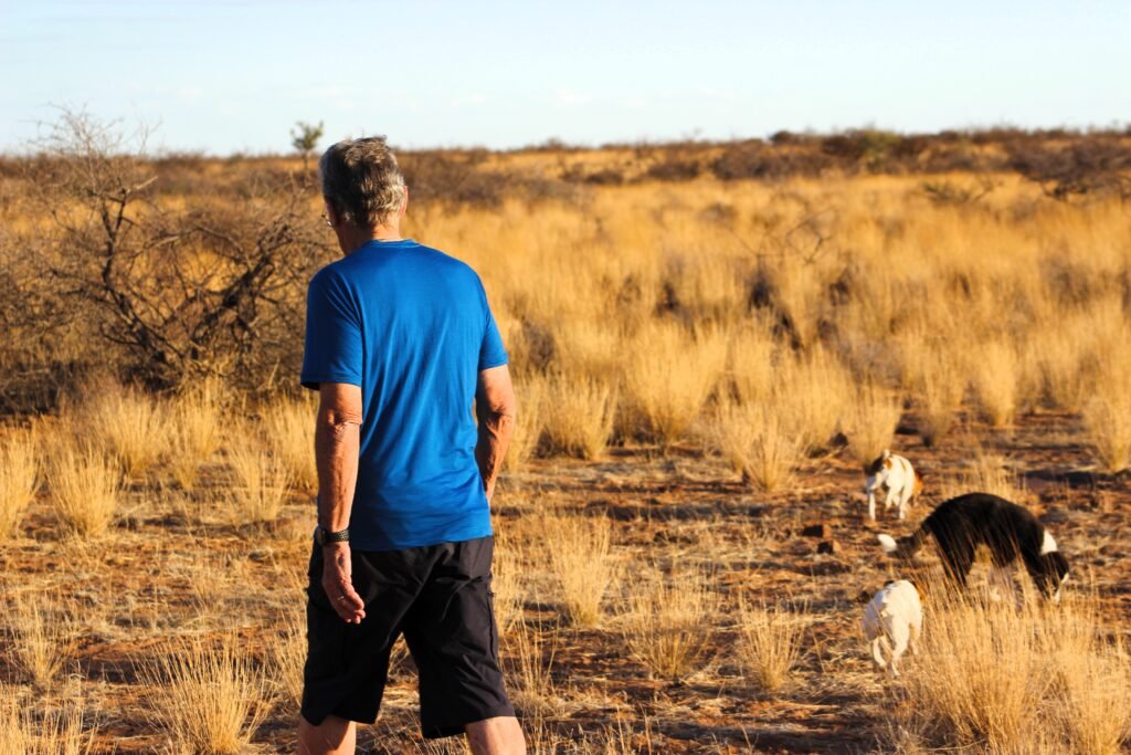 Dad Walking Dogs Sniffing 1024x683