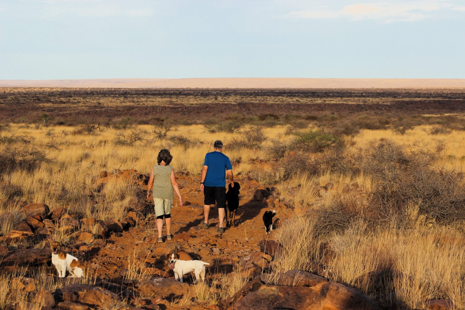 Mum And Dad Taking The Dogs For A Walk Scaled