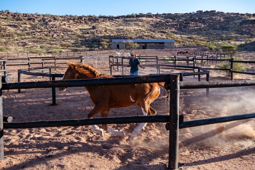 AnnaTrainingNapoleon 1024x683