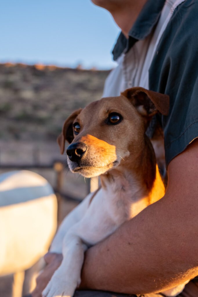 RussieLyingInArms 683x1024